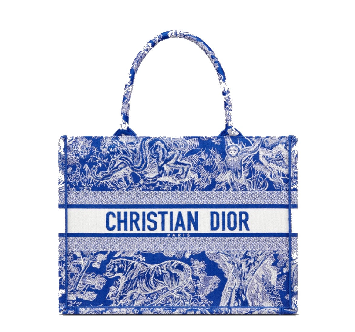 Dior Book Tote