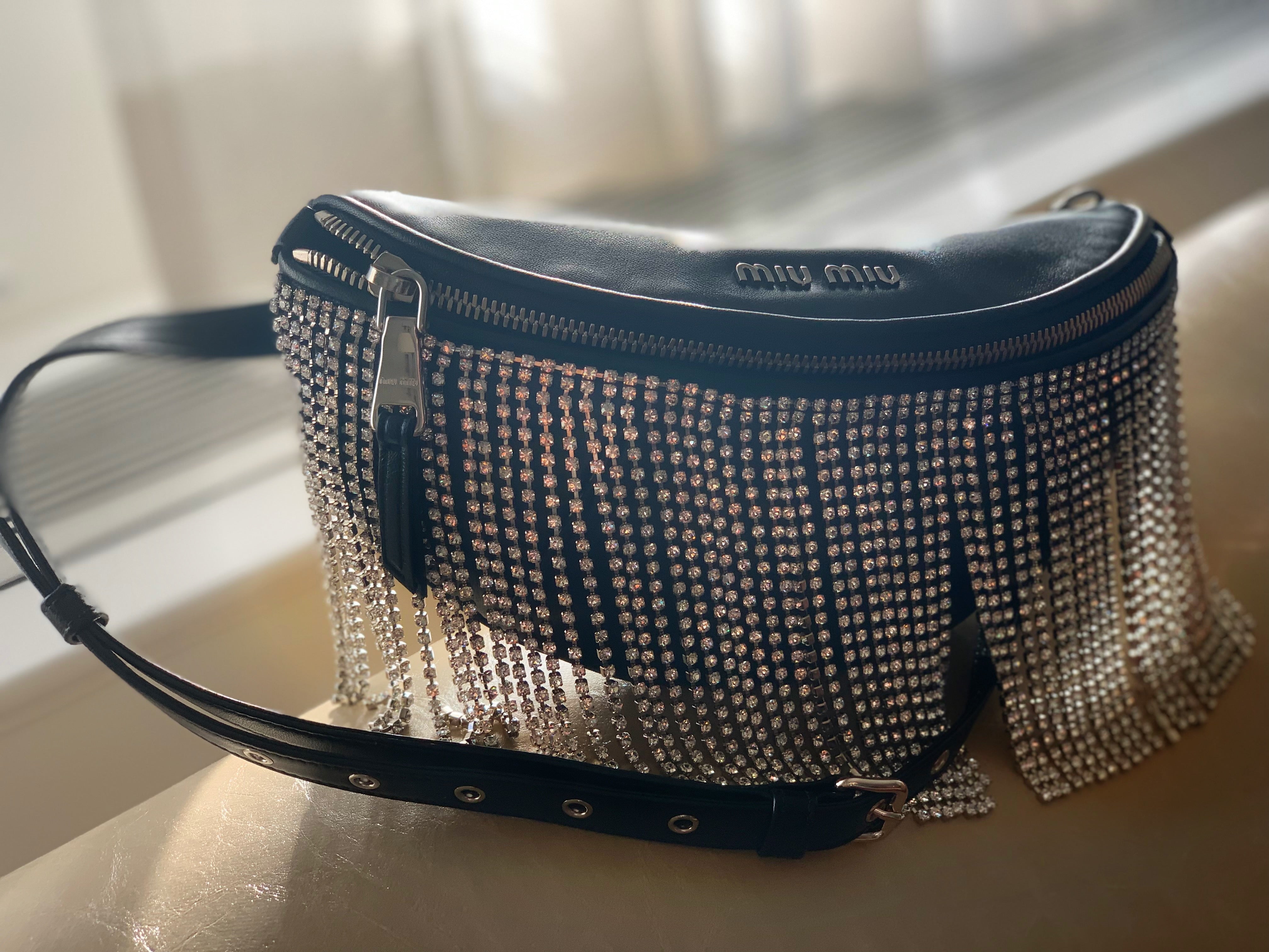 Miu Miu Crystal Belt Bag