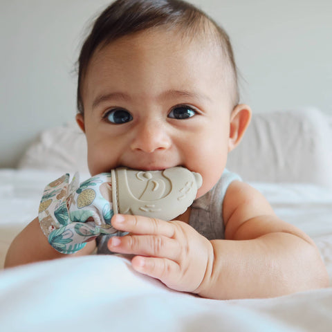 itzy ritzy teething mitt