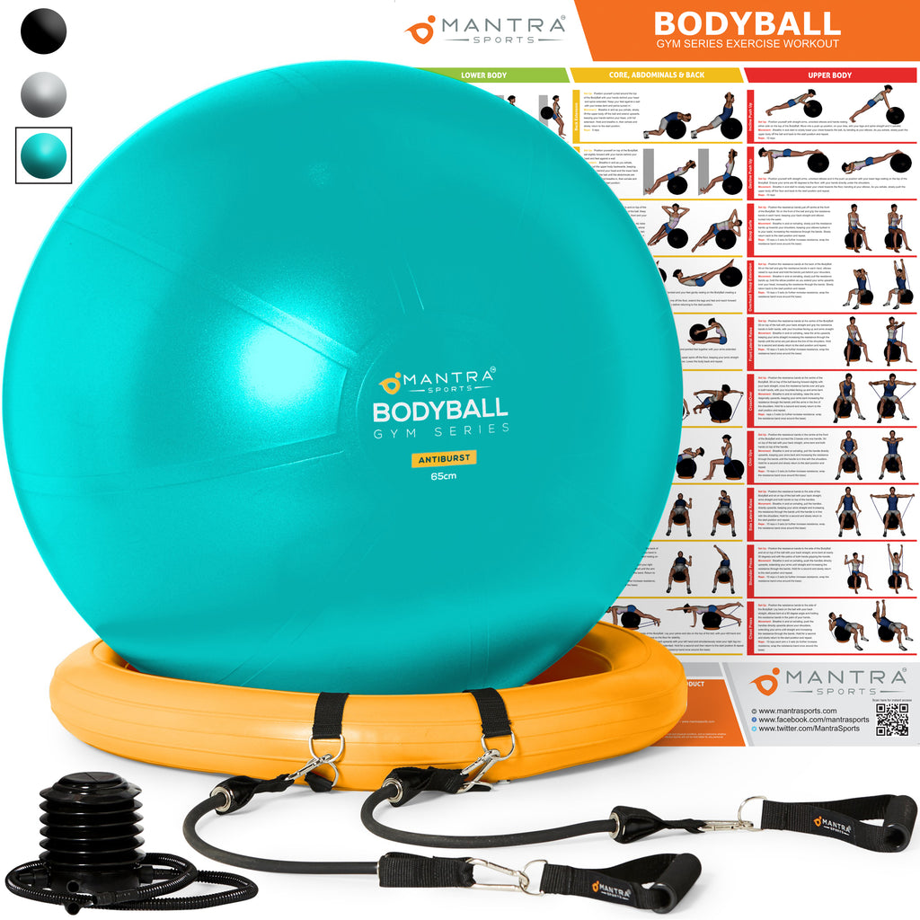 Exercise Ball Chair - Resistance Bands 