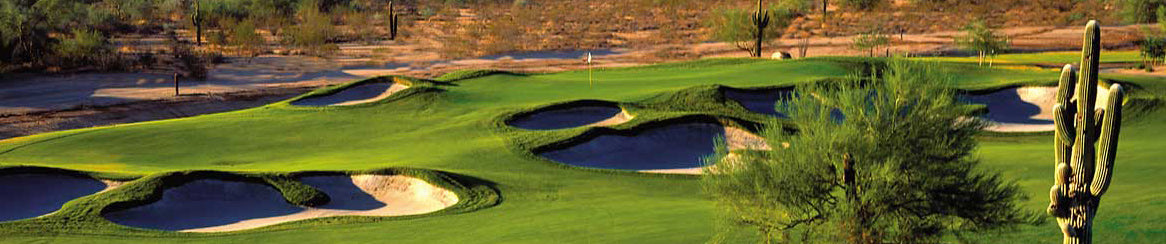 Phoenix golf club rental banner