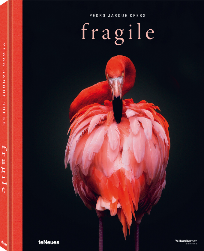 Fragile by Pedro Jarque Krebs