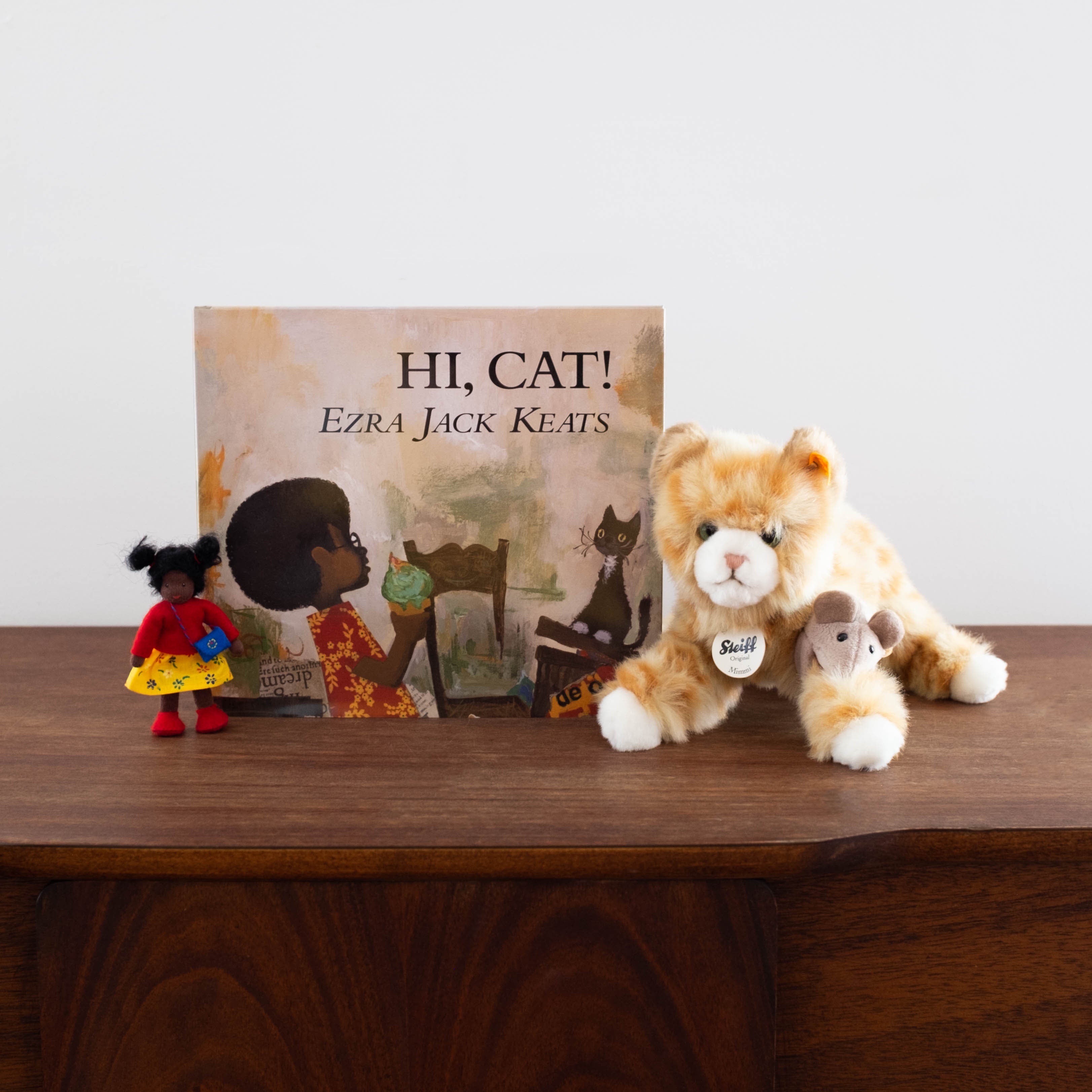 Hi! Cat Book