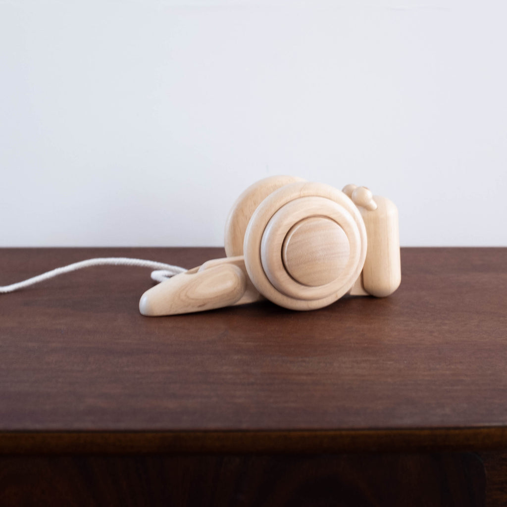 wooden snail