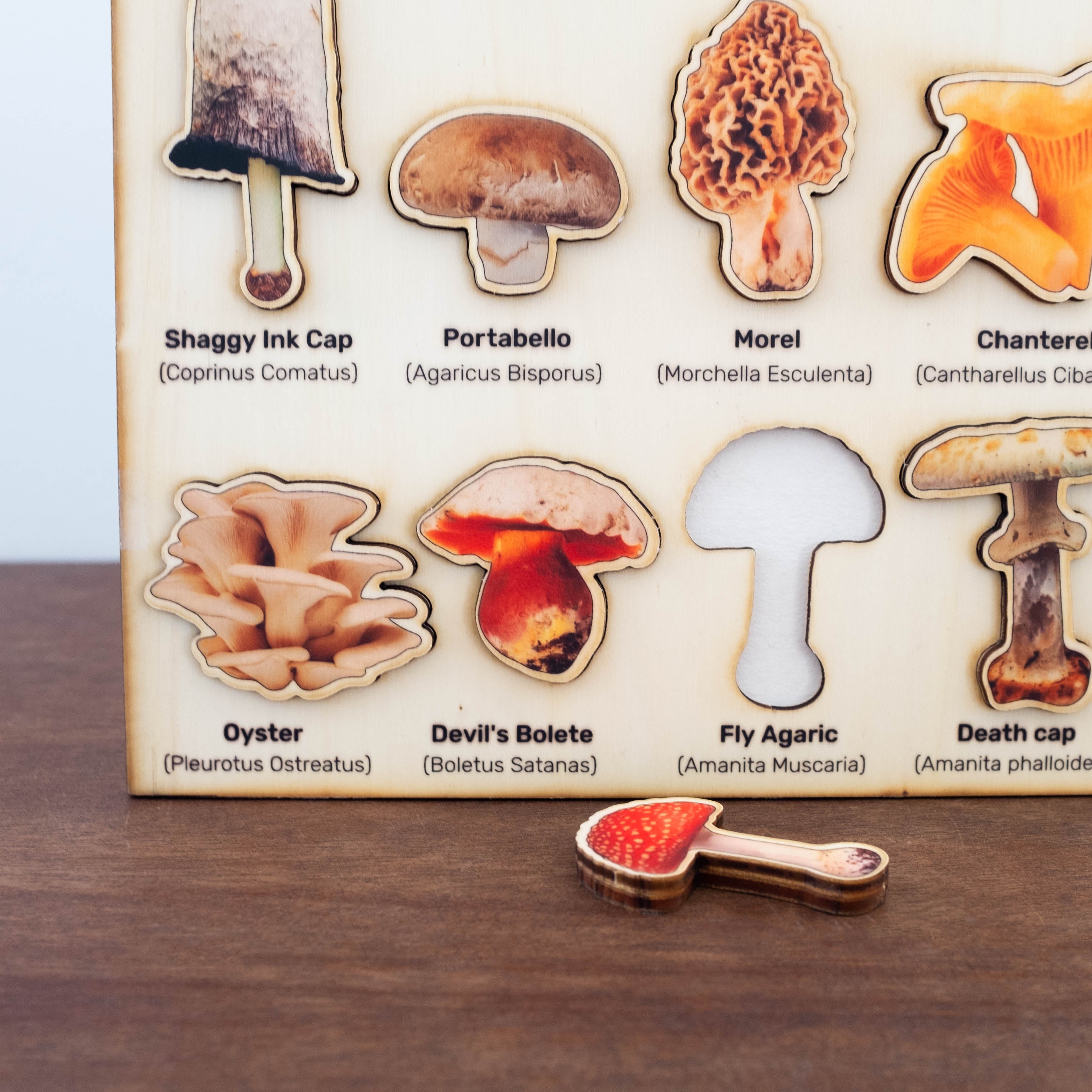 3D Wooden Puzzles- Mushrooms