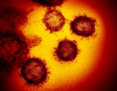 Coronavirus image