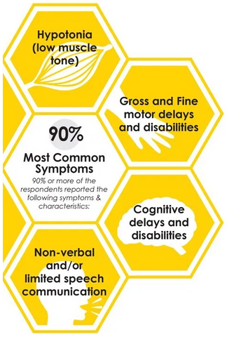 GRIN2B symptoms list