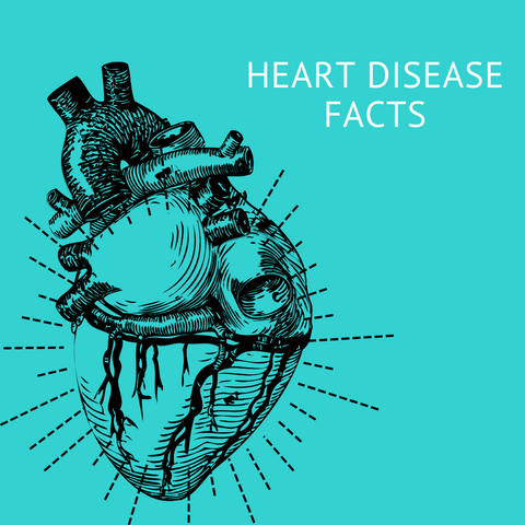 Heart disease facts with anatomical heart