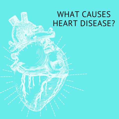 What Causes heart disease?