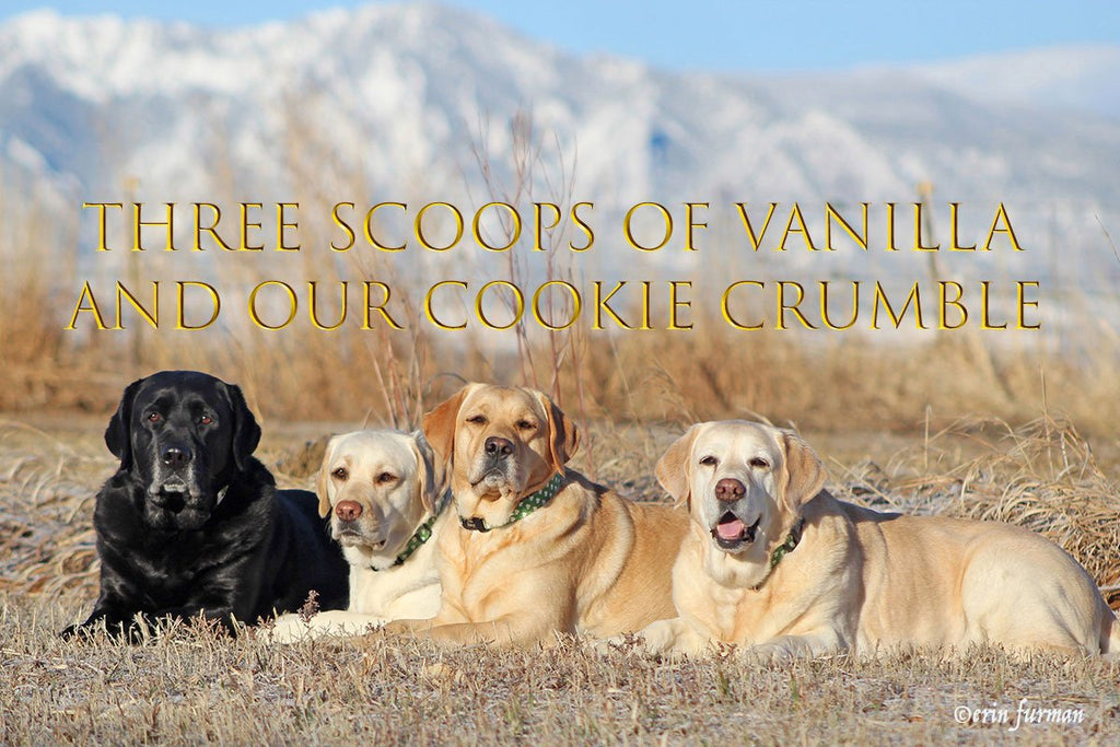Three Scoops of Vanilla