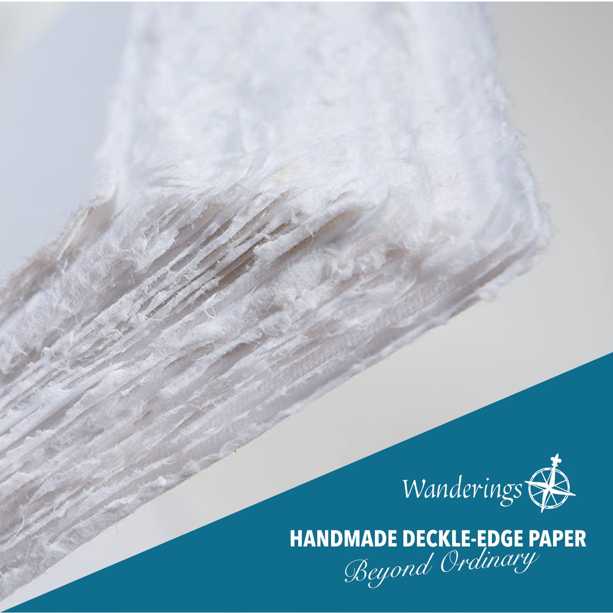 Handmade White Paper with Real Flower Petals and Deckle Edge – Wanderings