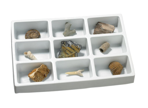 National Geographic Rock & Mineral Starter Kit — Bright Bean Toys