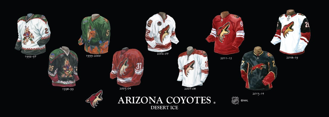 2006-07 Phoenix Coyotes Jersey  Phoenix coyotes, Hockey sweater