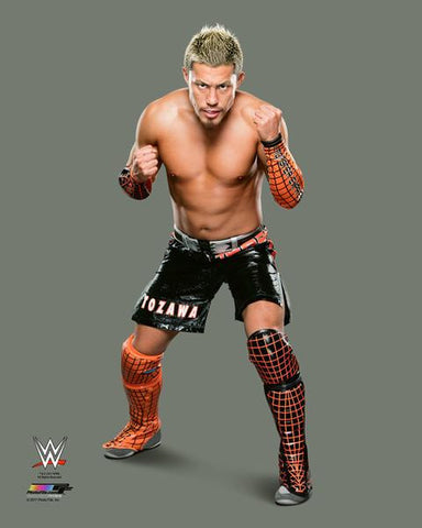 Akira Tozawa  WWE Photo 1 – ManiacJoe.com LLC