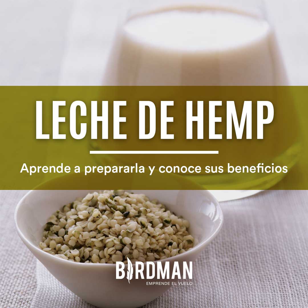 Leche de Hemp: Cómo Hacerla y sus Propiedades – VidaBirdman