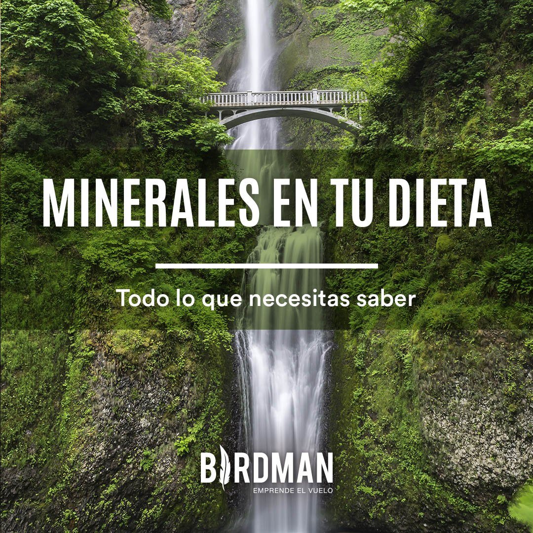 Macrominerales y Minerales Traza | Vida Birdman Blog – VidaBirdman