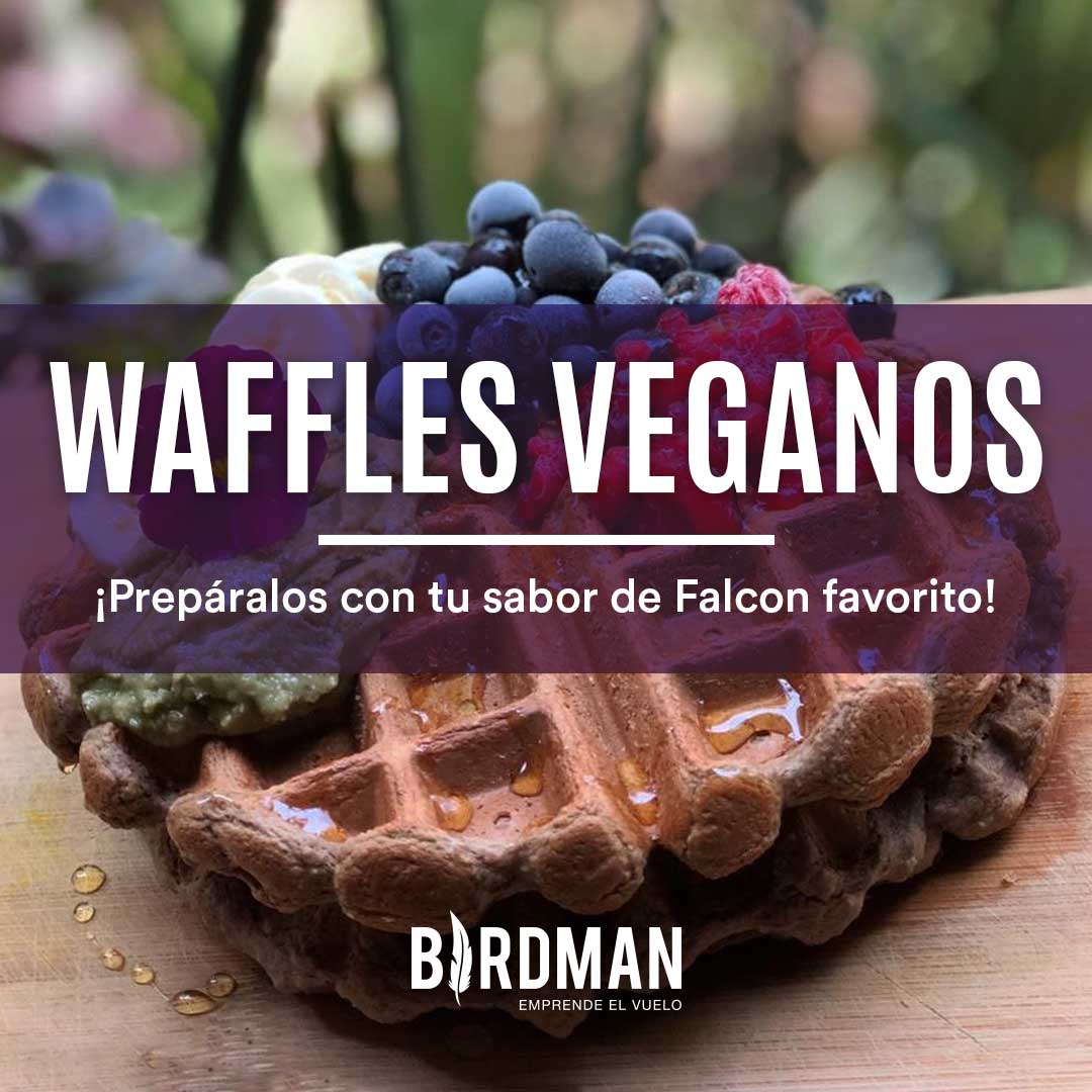 Waffles Veganos de Chocolate | Vida Birdman Blog – VidaBirdman