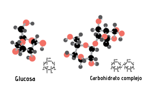 Carbohidratos simples y complejos