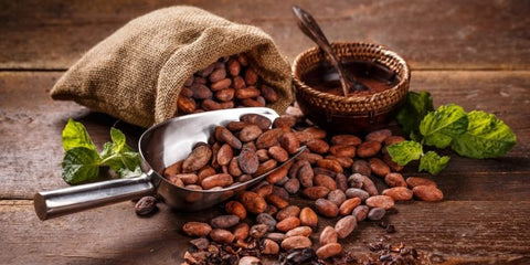 Cacao en polvo