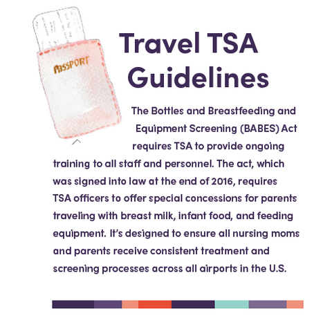 TSA Travel Guidelines