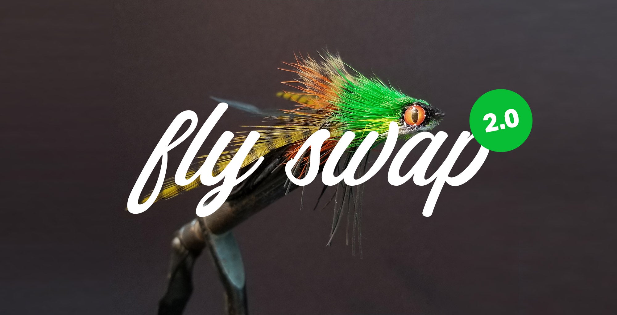Bass fly swap 2.0 – Tailwater Outdoors
