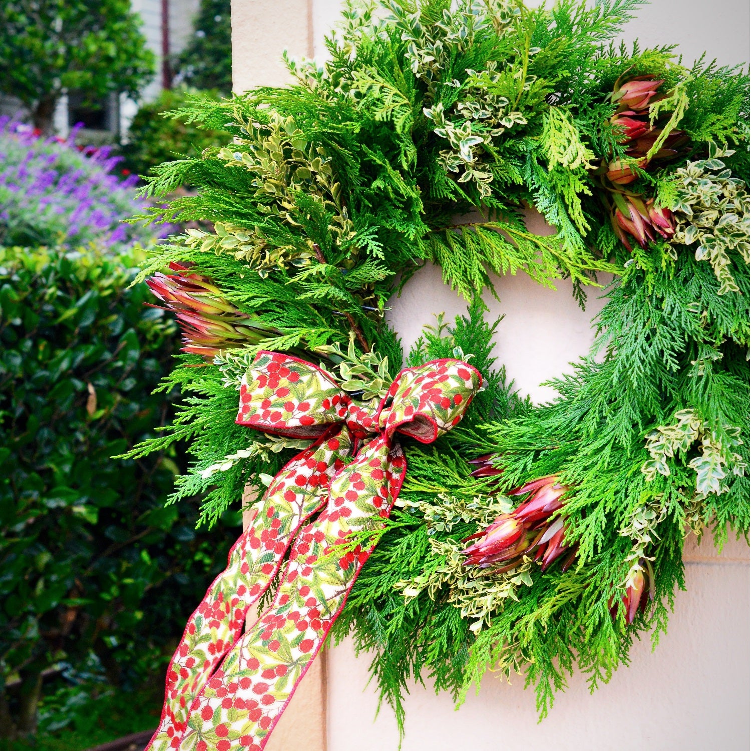live wreaths cedar wreath door wreaths for christmas