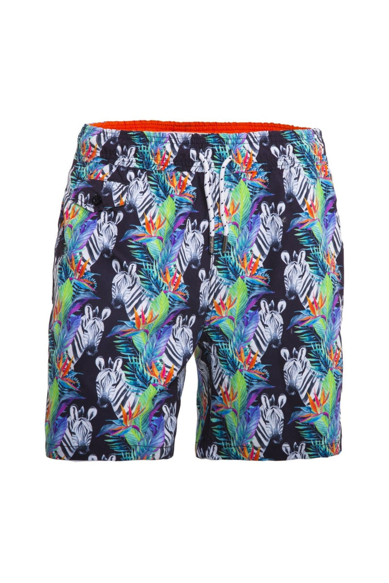 Zebras Print Swimwear – Eight-X