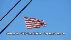 Boston Spice Don't Tread On Me USS Constitution Flag