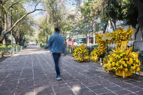 Intervención en banca de camellón en Avenida Durango