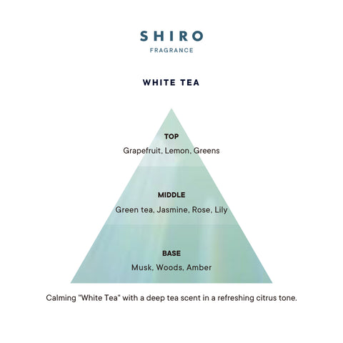 White Tea Fragrance Pyramid