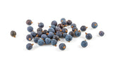 Juniper Berries Botanical