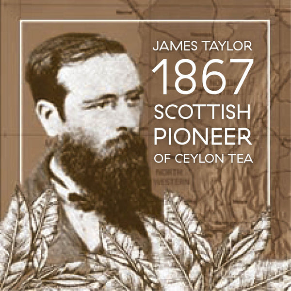 James Taylor pioneer of Ceylon tea