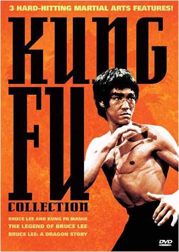 bruce lee and kung fu mania