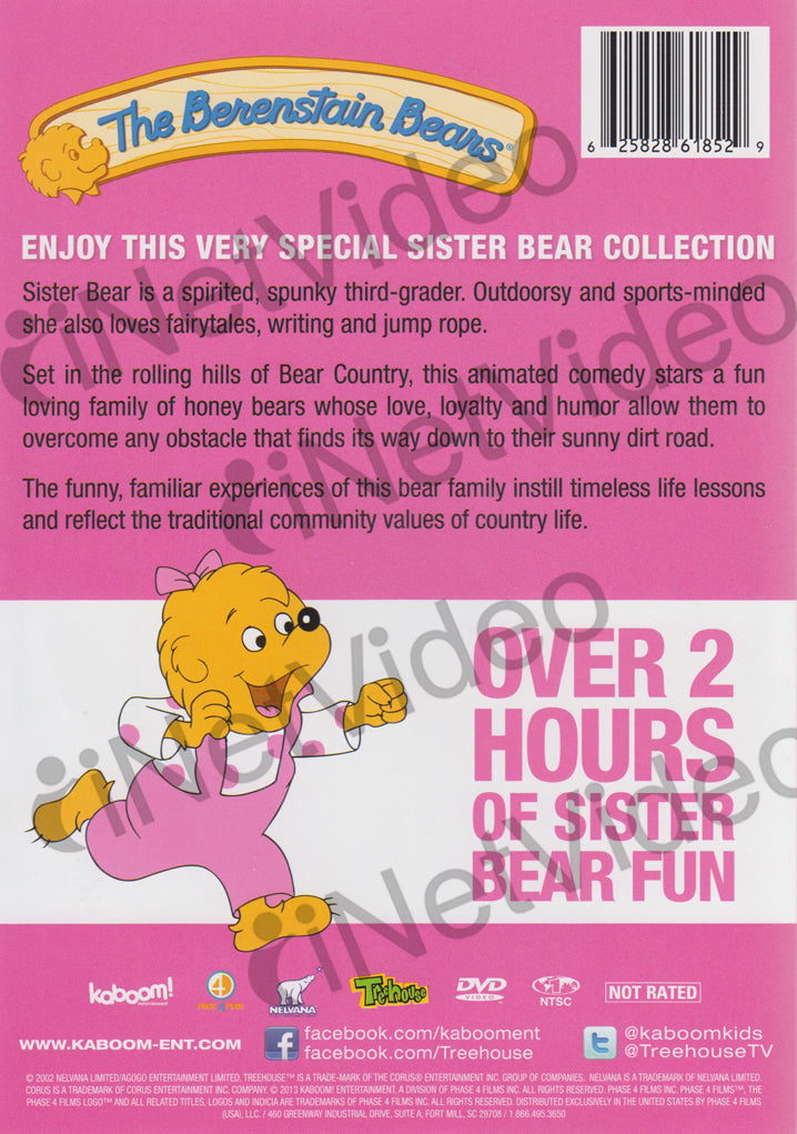 brother bear and sister bear dvd
