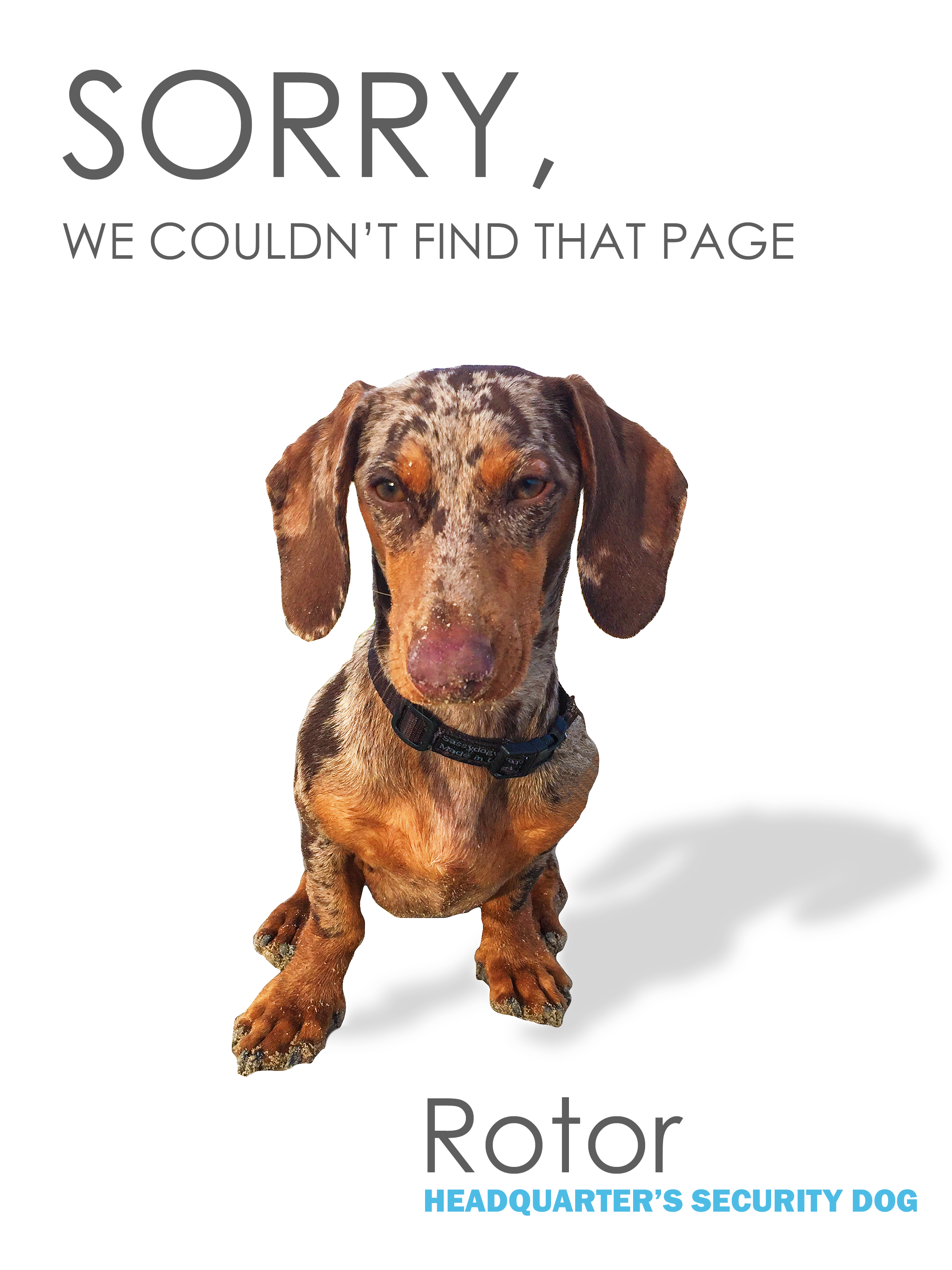 Page Not found