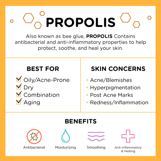 Propolis Infographic