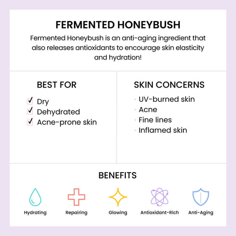 Infographic about Fermented Honeybush