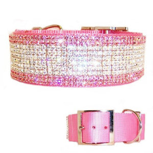 pink diamond dog collar