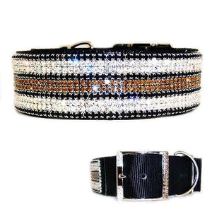 x large fancy dog collar with bling 2 inch wide
