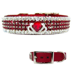 fancy dog collars