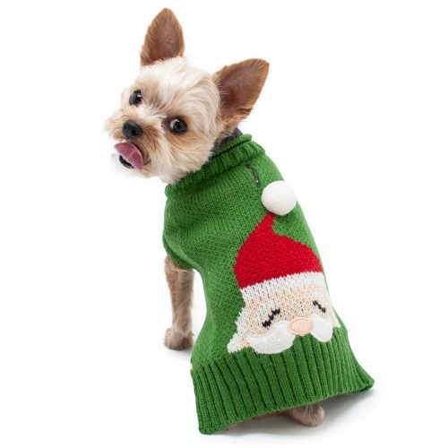 sweater with dog on it