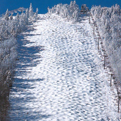 Bear Mountain Quad Killington