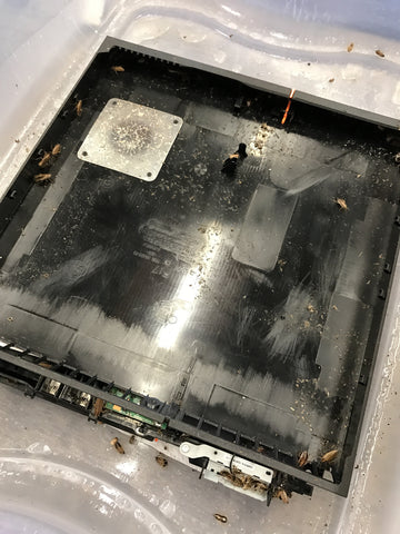 Inside of a PS4 with a cockroach infestation