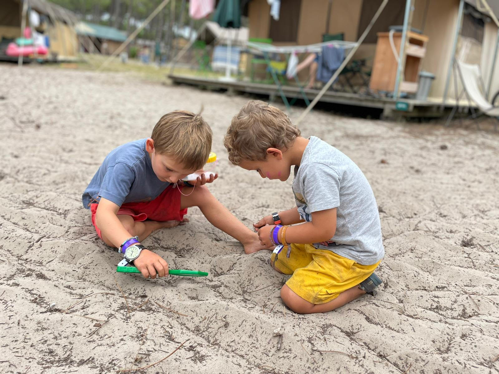 Two kids searching for bugs and crabs on the beach on holiday