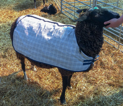 AniMac Sheep Coat