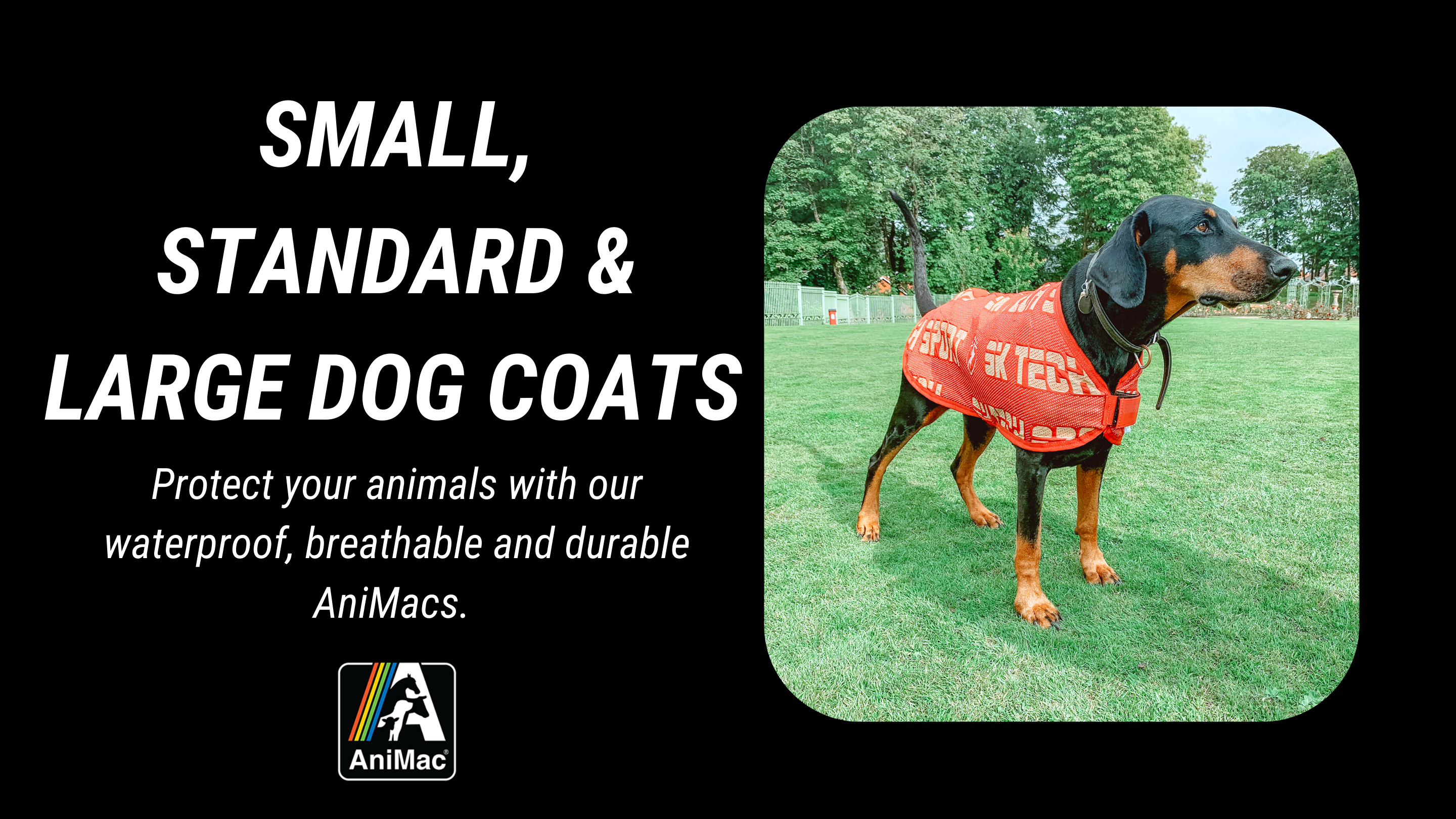 AniMac waterproof dog coats for small, medium and large dogs