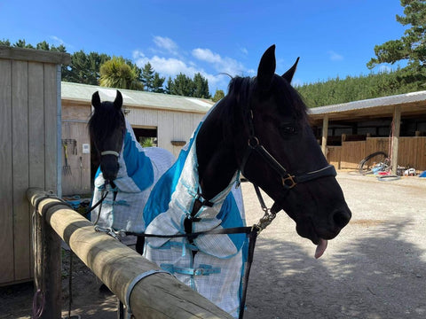 Horse rug for big shoulders