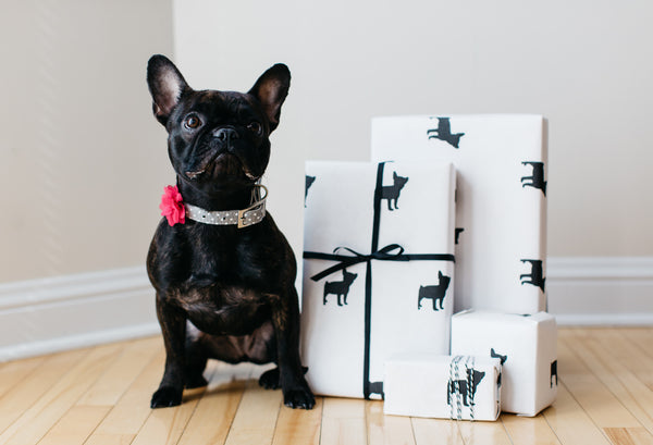 French Bulldog Black and White Gift Wrap
