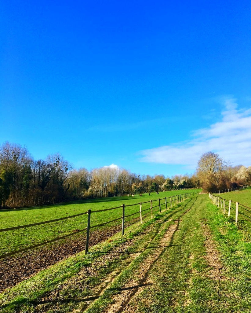 country road