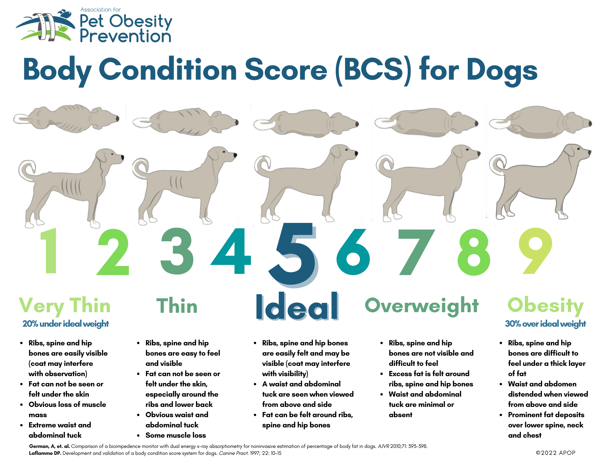 Tableau des scores corporels de gestion du poids du chien